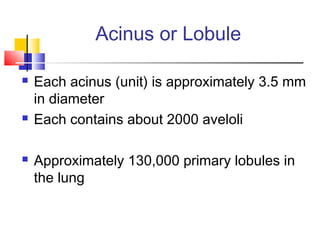 Acinus or Lobule
 Each acinus (unit) is approximately 3.5 mm
in diameter
 Each contains about 2000 aveloli
 Approximately 130,000 primary lobules in
the lung
 