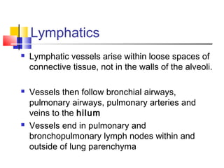 Lymphatics
 Lymphatic vessels arise within loose spaces of
connective tissue, not in the walls of the alveoli.
 Vessels then follow bronchial airways,
pulmonary airways, pulmonary arteries and
veins to the hilum
 Vessels end in pulmonary and
bronchopulmonary lymph nodes within and
outside of lung parenchyma
 