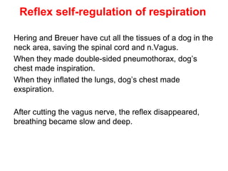 Hering and Breuer have cut all the tissues of a dog in the
neck area, saving the spinal cord and n.Vagus.
When they made double-sided pneumothorax, dog’s
chest made inspiration.
When they inflated the lungs, dog’s chest made
exspiration.
After cutting the vagus nerve, the reflex disappeared,
breathing became slow and deep.
Reflex self-regulation of respiration
 