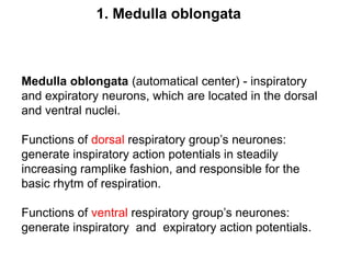 Medulla oblongata (automatical center) - inspiratory
and expiratory neurons, which are located in the dorsal
and ventral nuclei.
Functions of dorsal respiratory group’s neurones:
generate inspiratory action potentials in steadily
increasing ramplike fashion, and responsible for the
basic rhytm of respiration.
Functions of ventral respiratory group’s neurones:
generate inspiratory and expiratory action potentials.
1. Medulla oblongata
 