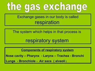 the gas exchange Exchange gases in our body is called   respiration  The system which helps in that process is   respiratory system  Components of respiratory system   Nose cavity – Pharynx  - Larynx – Trachea - Bronchi  Lungs  - Bronchiole -  Air sacs  ( alveoli  )   