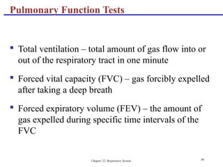 respiratory system anatomy.pdf