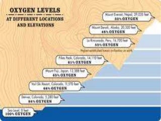 Respiratory system and circulatory system in high altitude | PPTX