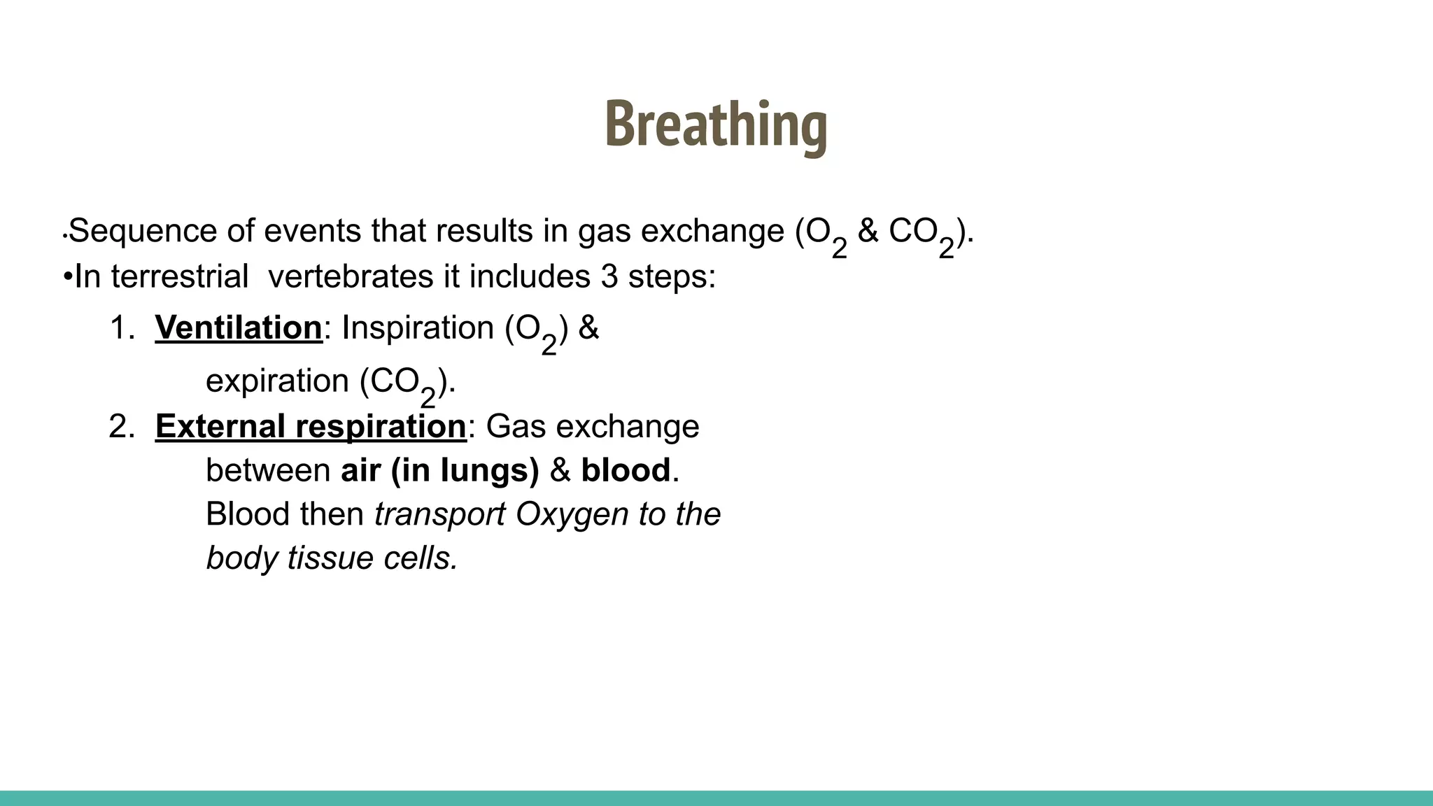 Breathing
•Sequence of events that results in gas exchange (O2
& CO2
).
•In terrestrial vertebrates it includes 3 steps:
1. Ventilation: Inspiration (O2
) &
expiration (CO2
).
2. External respiration: Gas exchange
between air (in lungs) & blood.
Blood then transport Oxygen to the
body tissue cells.