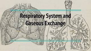 Respiratory System and
Gaseous Exchange
 