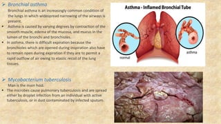  Bronchial asthma
Bronchial asthma is an increasingly common condition of
the lungs in which widespread narrowing of the airways is
present.
 Asthma is caused by varying degrees by contraction of the
smooth muscle, edema of the mucosa, and mucus in the
lumen of the bronchi and bronchioles.
 In asthma, there is difficult expiration because the
bronchioles which are opened during inspiration also have
to remain open during expiration if they are to permit a
rapid outflow of air owing to elastic recoil of the lung
tissues.
 Mycobacterium tuberculosis
Man is the main host.
 The microbes cause pulmonary tuberculosis and are spread
either by droplet infection from an individual with active
tuberculosis, or in dust contaminated by infected sputum.
 