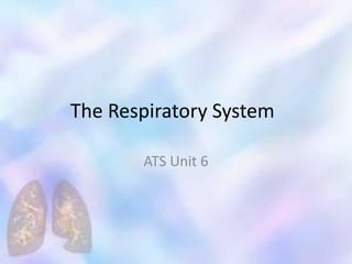 Respiratory System EHS Unit 5 | PPTX