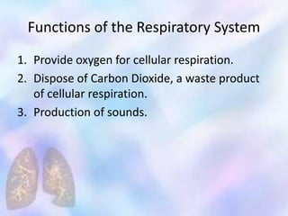 Functions of the Respiratory System
1. Provide oxygen for cellular respiration.
2. Dispose of Carbon Dioxide, a waste product
of cellular respiration.
3. Production of sounds.
 