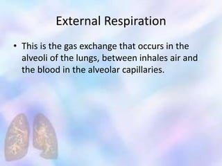 External Respiration
• This is the gas exchange that occurs in the
alveoli of the lungs, between inhales air and
the blood in the alveolar capillaries.
 