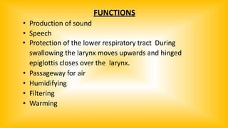 FUNCTIONS
• Production of sound
• Speech
• Protection of the lower respiratory tract During
swallowing the larynx moves upwards and hinged
epiglottis closes over the larynx.
• Passageway for air
• Humidifying
• Filtering
• Warming
 