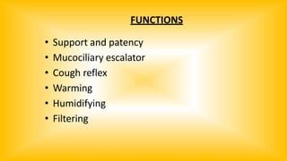 FUNCTIONS
• Support and patency
• Mucociliary escalator
• Cough reflex
• Warming
• Humidifying
• Filtering
 