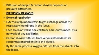 • Diffusion of oxygen & carbon dioxide depends on
pressure differences.
• DIFFUSION OF GASES
• External respiration
• External respiration refers to gas exchange across the
respiratory membrane in the lungs.
• Each alveolar wall is one cell thick and sourrounded by a
network of tiny capillaries.
• Carbon dioxide diffuses from venous blood down its
concentration gradient into the alveoli.
• By the same process, oxygen diffuses from the alveoli into
the blood.
 