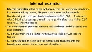 Internal respiration
• Internal respiration refers to gas exchange across the respiratory membrane
in the metabolizing tissues, like your skeletal muscles, for example.
• Blood arriving at the tissues has been cleansed of it’s CO2 & saturated
with O2 during it’s passage through the lungs,therefore has a higher O2 &
lower CO2 than the tissues.
• This concentration gradients between capillary blood and the tissues lead
gase exchange.
• O2 diffuses from the bloodstream through the capillary wall into the
tissues.
• CO2 diffuses from the cells into the extracellular fluid,then into the
bloodstream towards the venous end of capillary.
 