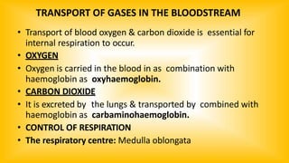 TRANSPORT OF GASES IN THE BLOODSTREAM
• Transport of blood oxygen & carbon dioxide is essential for
internal respiration to occur.
• OXYGEN
• Oxygen is carried in the blood in as combination with
haemoglobin as oxyhaemoglobin.
• CARBON DIOXIDE
• It is excreted by the lungs & transported by combined with
haemoglobin as carbaminohaemoglobin.
• CONTROL OF RESPIRATION
• The respiratory centre: Medulla oblongata
 