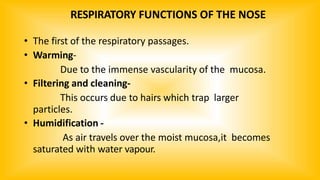 RESPIRATORY FUNCTIONS OF THE NOSE
• The first of the respiratory passages.
• Warming-
Due to the immense vascularity of the mucosa.
• Filtering and cleaning-
This occurs due to hairs which trap larger
particles.
• Humidification -
As air travels over the moist mucosa,it becomes
saturated with water vapour.
 