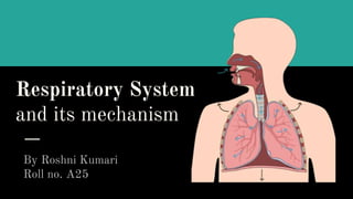 Respiratory System
and its mechanism
By Roshni Kumari
Roll no. A25
 