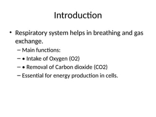 Comprehensive Respiratory System Lesson for Basic Science and CMLT ...