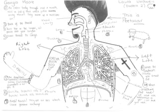 Respiratory system diagram   student work (coaching)