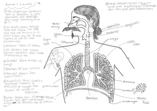 Respiratory system diagram   student work (coaching)