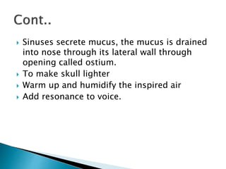  Sinuses secrete mucus, the mucus is drained
into nose through its lateral wall through
opening called ostium.
 To make skull lighter
 Warm up and humidify the inspired air
 Add resonance to voice.
 