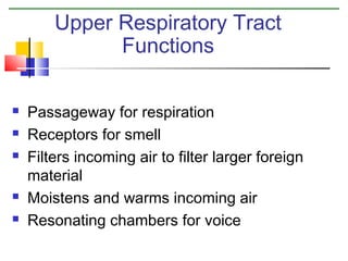 Upper Respiratory Tract
Functions







Passageway for respiration
Receptors for smell
Filters incoming air to filter larger foreign
material
Moistens and warms incoming air
Resonating chambers for voice

 