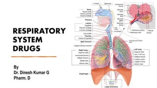 RESPIRATORY
SYSTEM
DRUGS
By
Dr. Dinesh Kumar G
Pharm. D
 