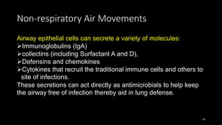 Non-respiratory Air Movements
Airway epithelial cells can secrete a variety of molecules:
Immunoglobulins (IgA)
collectins (including Surfactant A and D),
Defensins and chemokines
Cytokines that recruit the traditional immune cells and others to
site of infections.
These secretions can act directly as antimicrobials to help keep
the airway free of infection thereby aid in lung defense.
14
 