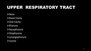 UPPER RESPIRATORY TRACT
Nose
Nasal Cavity
Oral Cavity
Pharynx
Nasopharynx
Oropharynx
Laryngopharynx
Larynx
6
 