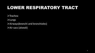 LOWER RESPIRATORY TRACT
Trachea
Lungs
Airways(bronchi and bronchioles)
Air sacs (alveoli)
8
 