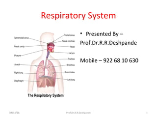 Respiratory System
• Presented By –
Prof.Dr.R.R.Deshpande
Mobile – 922 68 10 630
04/14/16 Prof.Dr.R.R.Deshpande 1
 