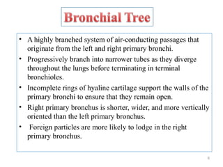 • A highly branched system of air-conducting passages that
originate from the left and right primary bronchi.
• Progressively branch into narrower tubes as they diverge
throughout the lungs before terminating in terminal
bronchioles.
• Incomplete rings of hyaline cartilage support the walls of the
primary bronchi to ensure that they remain open.
• Right primary bronchus is shorter, wider, and more vertically
oriented than the left primary bronchus.
• Foreign particles are more likely to lodge in the right
primary bronchus.
6
 