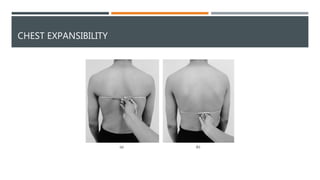Testing Chest Expansion Respiratory system examination | PPTX