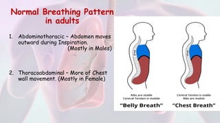 Normal Breating Pattern Respiratory System Examination and Clinical Assessment | PPTX