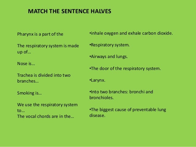 Respiratory system exercises