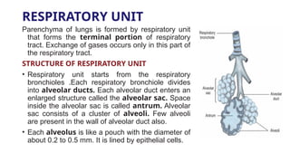 Respiratory system final [Autosaved] [Autosaved].pptx