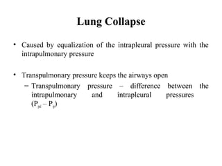 Lung Collapse
• Caused by equalization of the intrapleural pressure with the
intrapulmonary pressure
• Transpulmonary pressure keeps the airways open
– Transpulmonary pressure – difference between the
intrapulmonary and intrapleural pressures
(Ppul – Pip)
 