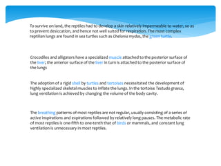 To survive on land, the reptiles had to develop a skin relatively impermeable to water, so as
to prevent desiccation, and hence not well suited for respiration. The most complex
reptilian lungs are found in sea turtles such as Chelonia mydas, the green turtle.
Crocodiles and alligators have a specialized muscle attached to the posterior surface of
the liver; the anterior surface of the liver in turn is attached to the posterior surface of
the lungs
The adoption of a rigid shell by turtles and tortoises necessitated the development of
highly specialized skeletal muscles to inflate the lungs. In the tortoise Testudo graeca,
lung ventilation is achieved by changing the volume of the body cavity.
The breathing patterns of most reptiles are not regular, usually consisting of a series of
active inspirations and expirations followed by relatively long pauses. The metabolic rate
of most reptiles is one-fifth to one-tenth that of birds or mammals, and constant lung
ventilation is unnecessary in most reptiles.
 