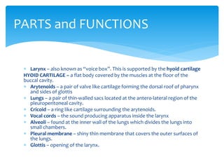 PARTS and FUNCTIONS
 Larynx – also known as “voice box”. This is supported by the hyoid cartilage
HYOID CARTILAGE – a flat body covered by the muscles at the floor of the
buccal cavity.
 Arytenoids – a pair of valve like cartilage forming the dorsal roof of pharynx
and sides of glottis
 Lungs – a pair of thin-walled sacs located at the antero-lateral region of the
pleuroperitoneal cavity.
 Cricoid – a ring like cartilage surrounding the arytenoids.
 Vocal cords – the sound producing apparatus inside the larynx
 Alveoli – found at the inner wall of the lungs which divides the lungs into
small chambers.
 Pleural membrane – shiny thin membrane that covers the outer surfaces of
the lungs.
 Glottis – opening of the larynx.
 