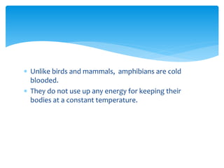  Unlike birds and mammals, amphibians are cold
blooded.
 They do not use up any energy for keeping their
bodies at a constant temperature.
 