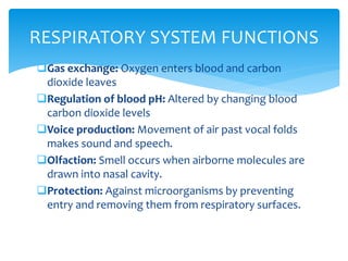 Gas exchange: Oxygen enters blood and carbon
dioxide leaves
Regulation of blood pH: Altered by changing blood
carbon dioxide levels
Voice production: Movement of air past vocal folds
makes sound and speech.
Olfaction: Smell occurs when airborne molecules are
drawn into nasal cavity.
Protection: Against microorganisms by preventing
entry and removing them from respiratory surfaces.
RESPIRATORY SYSTEM FUNCTIONS
 