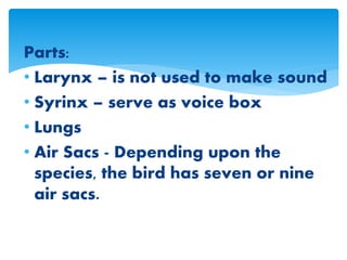 Parts:
• Larynx – is not used to make sound
• Syrinx – serve as voice box
• Lungs
• Air Sacs - Depending upon the
species, the bird has seven or nine
air sacs.
 