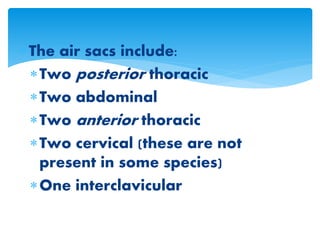 The air sacs include:
Two posterior thoracic
Two abdominal
Two anterior thoracic
Two cervical (these are not
present in some species)
One interclavicular
 