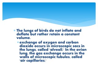  The lungs of birds do not inflate and
deflate but rather retain a constant
volume.
exchange of oxygen and carbon
dioxide occurs in microscopic sacs in
the lungs, called 'alveoli.' In the avian
lung, the gas exchange occurs in the
walls of microscopic tubules, called
'air capillaries.'
 