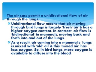 The air sacs permit a unidirectional flow of air
through the lungs.
Unidirectional flow means that air moving
through bird lungs is largely 'fresh' air & has a
higher oxygen content. In contrast, air flow is
'bidirectional' in mammals, moving back and
forth into and out of the lungs.
As a result, air coming into a mammal's lungs
is mixed with 'old' air & this 'mixed air' has
less oxygen. So, in bird lungs, more oxygen is
available to diffuse into the blood
 