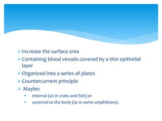 Increase the surface area
Containing blood vessels covered by a thin epithelial
layer
Organized into a series of plates
Countercurrent principle
 Maybe:
 internal (as in crabs and fish) or
 external to the body (as in some amphibians).
 