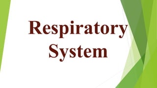 Respiratory
System
 