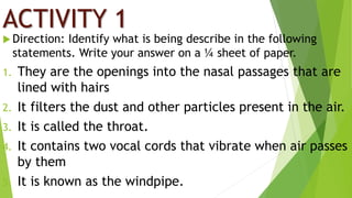ACTIVITY 1
 Direction: Identify what is being describe in the following
statements. Write your answer on a ¼ sheet of paper.
1. They are the openings into the nasal passages that are
lined with hairs
2. It filters the dust and other particles present in the air.
3. It is called the throat.
4. It contains two vocal cords that vibrate when air passes
by them
5. It is known as the windpipe.
 