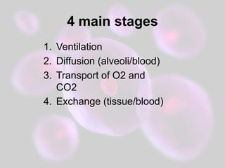 Physiology of the respiratory system | PPTX