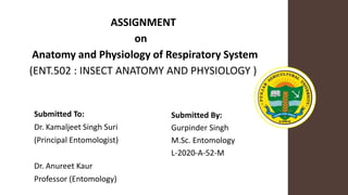 ASSIGNMENT
on
Anatomy and Physiology of Respiratory System
(ENT.502 : INSECT ANATOMY AND PHYSIOLOGY )
Submitted By:
Gurpinder Singh
M.Sc. Entomology
L-2020-A-52-M
Submitted To:
Dr. Kamaljeet Singh Suri
(Principal Entomologist)
Dr. Anureet Kaur
Professor (Entomology)
 