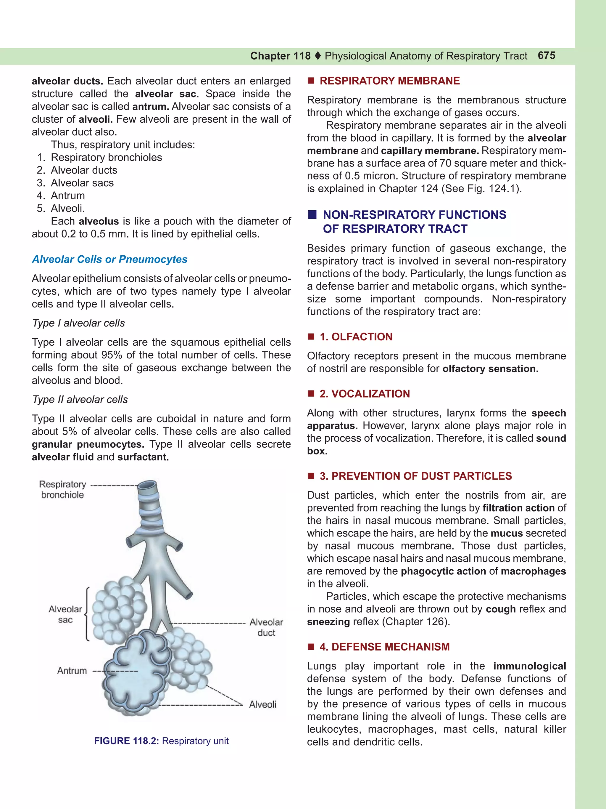 Respiratory System K Sembulingam 6th Edition Pdf